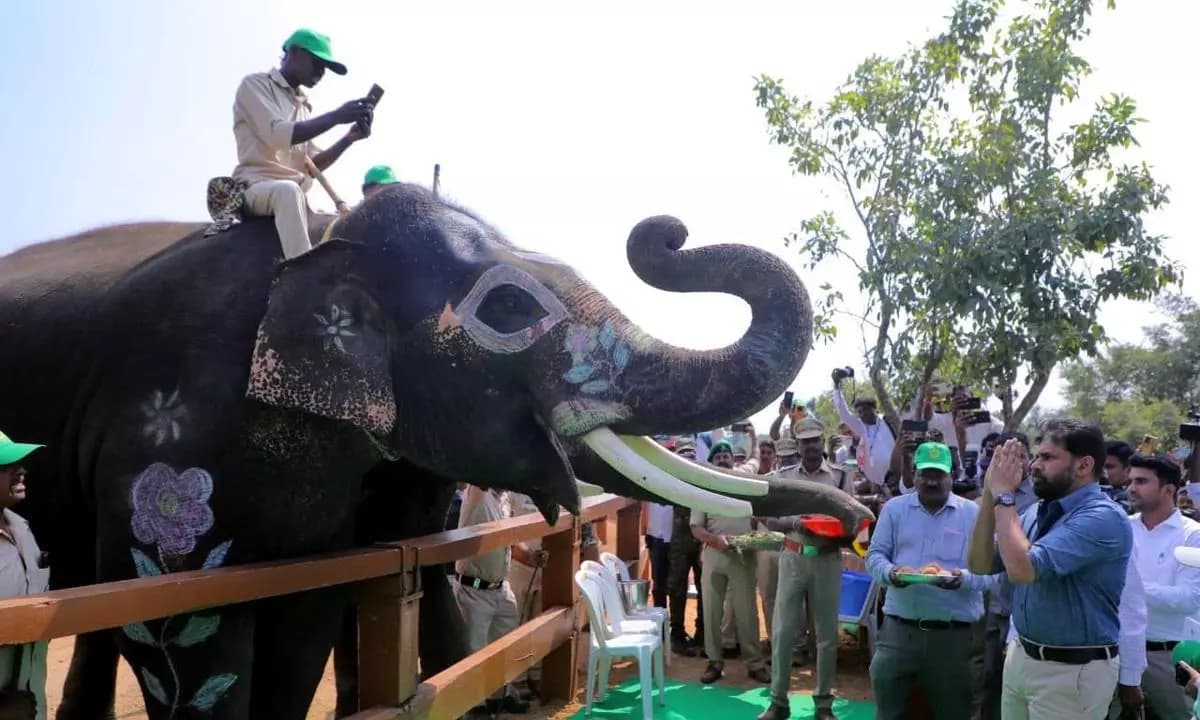 వన్యప్రాణుల కోసం పవన్ ఆపరేషన్ – ‘హనుమాన్’తో ఏం చేయబోతున్నాడు?