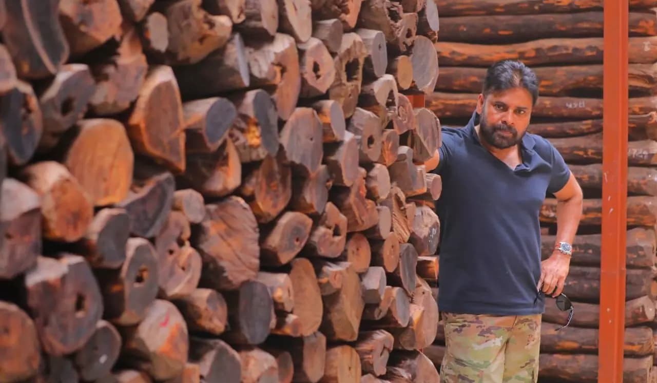 అక్రమ దుంగలు ఇప్పుడు కళాకారుల చేతుల్లోకి!