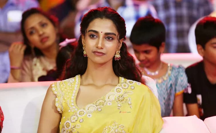 నా పెళ్లి ప్రచారం ఫెక్.    - హీరోయిన్ మీనాక్షి చౌదరి