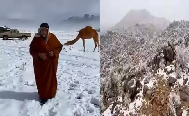 ఎడారి దేశంలో మంచు,   మైనస్ 4 డిగ్రీలకు ఉష్ణోగ్రతలు