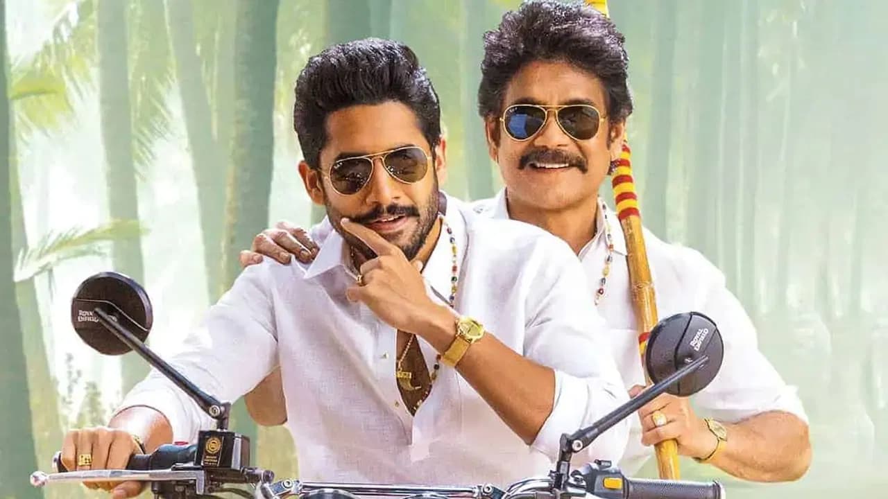 వచ్చే సంక్రాంతికి డేట్ లాక్ చేసిన అక్కినేని హీరోలు.....