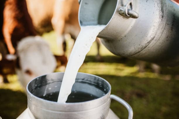 రాజమహేంద్రవరం అస్వస్థత, మరణాలపై సీఎం చంద్రబాబు నాయుడు సమీక్ష 