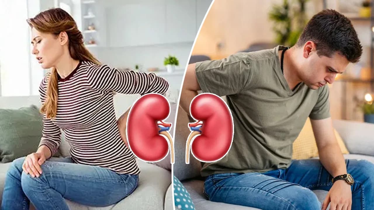 తరచూ వాపు వస్తుందా? మూత్రపిండాల ఆరోగ్యంపై వైద్యుల కీలక సూచనలు