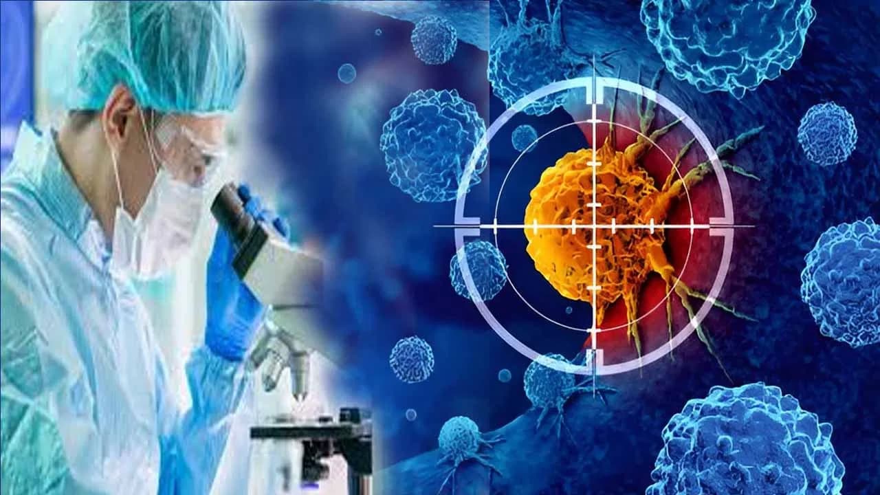 ప్రతి క్యాన్సర్ రోగికి ఇమ్యునోథెరపీ సరిపోతుందా? నిపుణుల వివరణ