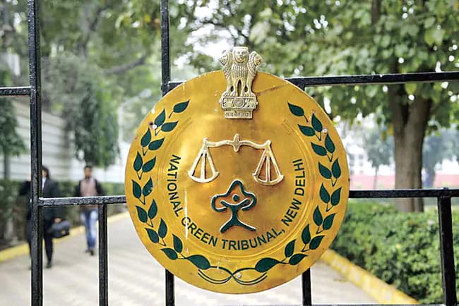 మూసీ ప్రాజెక్టు పనుల్లో జోక్యానికి నిరాకరణ.. అభివృద్ధే లక్ష్యం: సీఎం రేవంత్ రెడ్డి