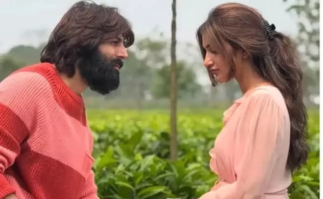 శ్రీలీల బాలీవుడ్ డెబ్యూ కష్టాల్లోనా?