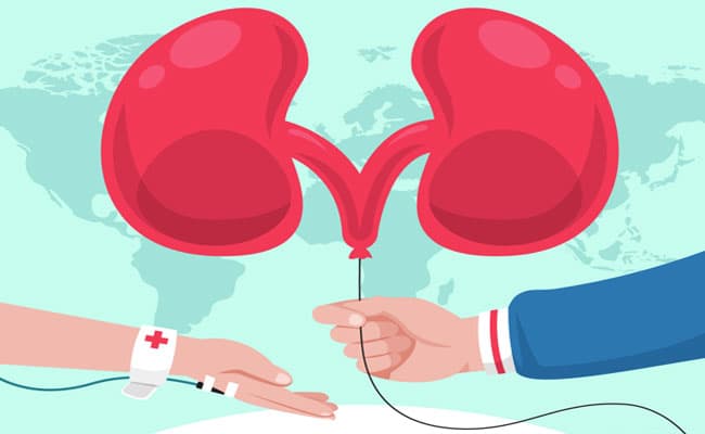 గర్భధారణలో కిడ్నీ సమస్యలు.. ఏ జాగ్రత్తలు తప్పనిసరి? నిపుణుల సూచనలు