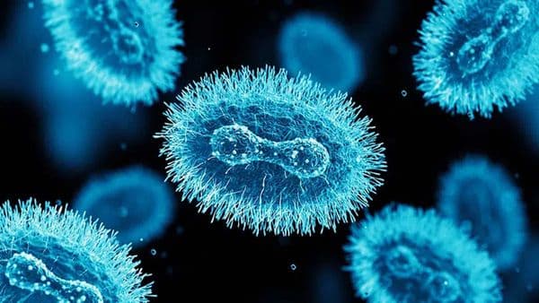 పాకిస్తాన్లో ఎంపాక్స్ కలకలం