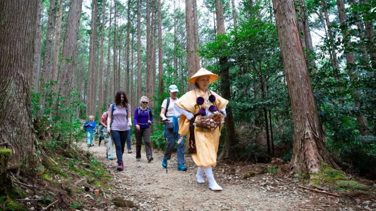 డాక్టర్లు సూచించే జపనీస్ వాకింగ్ ఆరోగ్య రహస్యాలు